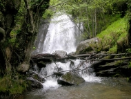 Ruta: fervenzas do río Quiroga